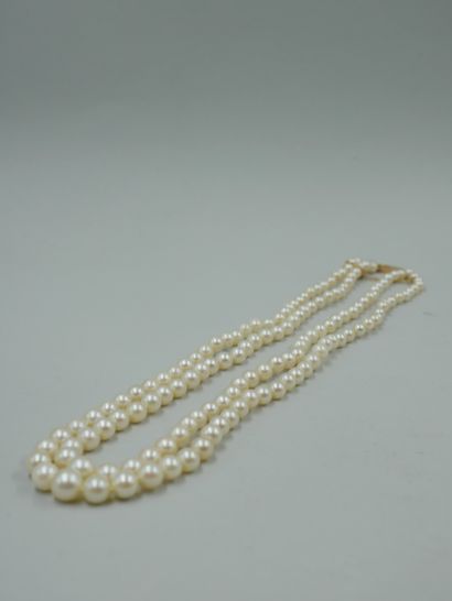 null Pearl necklace with two rows. Clasp and safety chain. PB 38,70 gr.