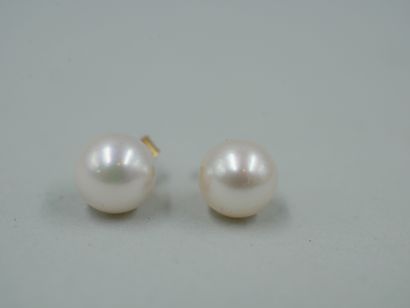 null Pair of 18k yellow gold earrings set with Japanese Akoya cultured pearls. PB...