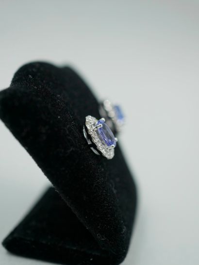 null Paire de puces d'oreilles en or blanc 18K sertie d'une tanzanite ovale dans...