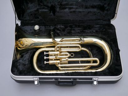 null Gear 4 Music piston horn. 

Nice condition, use marks, case.