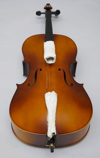 Gear 4 Music 4/4 student cello, antique fade....