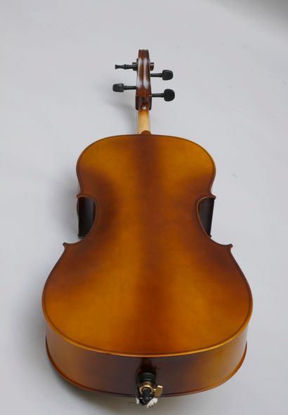 null Gear 4 Music 4/4 student cello, antique fade. 

New condition, case + bow.

Sold...