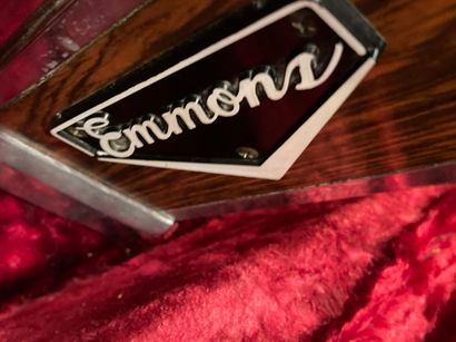 null 
EMMONS two necks two times 10 strings pedal steel. 





Seems to be complete,...