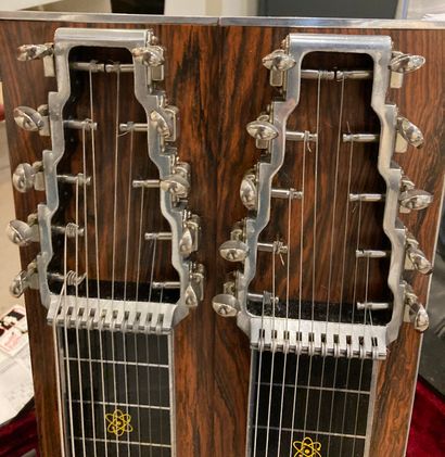 null 
EMMONS two necks two times 10 strings pedal steel. 





Seems to be complete,...