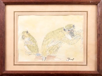 null GAUL. XXth century

Monkeys

Pastel. 

Signed lower right. 

18 x 25 cm