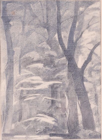 null French School XXth 

The forest 

Pencil, charcoal and white chalk drawing on...