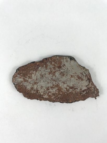 null Polished meteorite plate with the unique natural structure of Widdanstatten;...