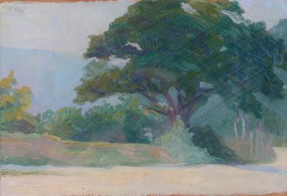 Ywan CERF (1883-1963) 
Landscape with a tree...