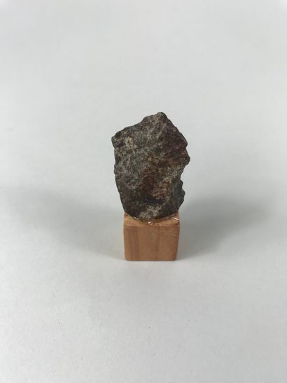 null Meteorite chondrite.

Height. :3,5cm.

(Certificate on request)