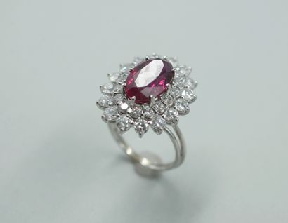 null Pompadour ring in platinum surmounted by a natural ruby of 4,91cts in a double...