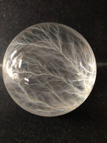 null Plexiglass sphere with dendritic trees. 

Exclusive to a Japanese artist.

Diameter...