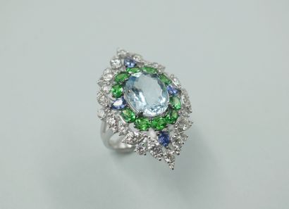 null Important 18k white gold marquise ring centered with an oval aquamarine of about...