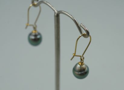 null Earrings in 18k yellow gold decorated with Tahitian pearls in drop.

PB : 2...