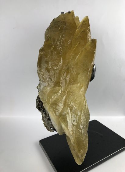 null Sheaf of calcite from the locality: Joplin in Missouri, USA.

36 x 13 x 11 cm.

Base...