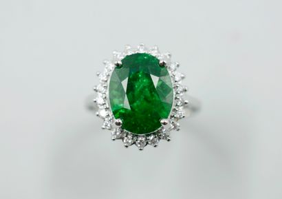 null 
Ring in 18k white gold surmounted by a natural Tsavorite of 6.19cts in a diamond...
