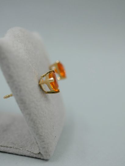 null Pair of earrings in 18K yellow gold set with a fire opal troïdia. 

Dimensions...