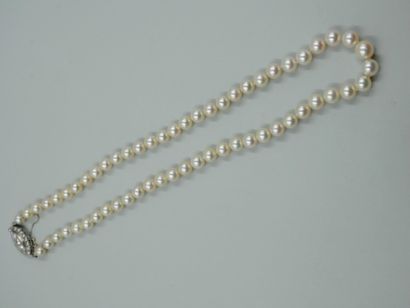 null Necklace of pearls in fall, the clasp in white gold 18k and diamonds. Safety...