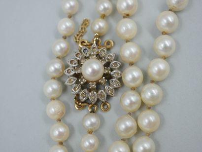 null Long necklace of Japanese cultured pearls in light fall, flower clasp in gold...