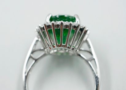 null 
Ring in 18k white gold surmounted by a natural Tsavorite of 6.19cts in a diamond...