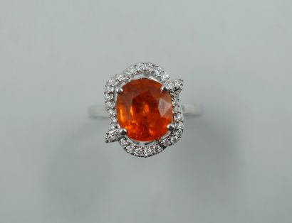 null 18k white gold ring set with a Fanta colored spessartite garnet surrounded by...