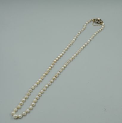 null Long necklace of Japanese cultured pearls in light fall, flower clasp in gold...