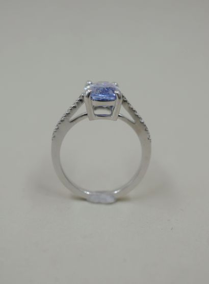 null 18k white gold ring with a cushion-cut sapphire of about 3.50cts, set with diamonds....