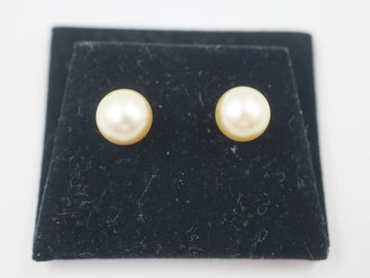 null Pair of 18k yellow gold ear studs adorned with South Sea cultured pearls of...