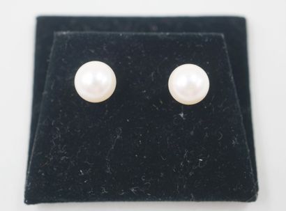 null Earrings in 18k yellow gold with Akoya cultured pearls from Japan. 

PB : 1...