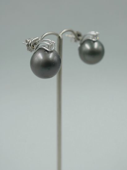 null Pair of 18k white gold earrings set with 16mm grey Tahitian pearls, each topped...