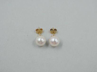 null Boutons d'oreilles en or jaune 18k ornés de perles de culture Akoya du Japon....