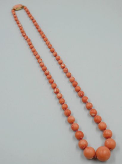 null Necklace of pink coral balls in fall, the clasp in yellow gold 18k. 

Length...