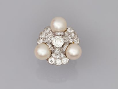 null Importante bague en or blanc 18K centrée d'un diamant demi-taille de 1,10cts...