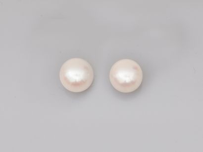 null Boutons d'oreilles en or jaune 18k ornés de perles de culture Akoya du Japon....