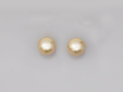 null Pair of 18k yellow gold ear studs adorned with South Sea cultured pearls of...