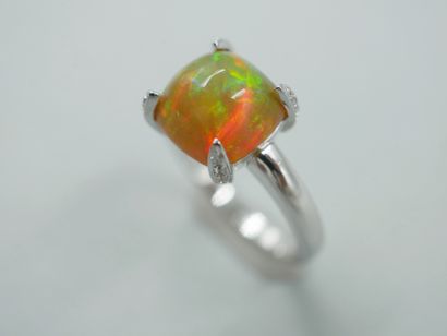 null 18k white gold ring set with a 3cts sugar loaf opal and diamonds. 

PB : 3,70gr....