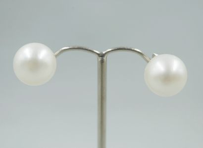 null Pair of 14k white gold earrings adorned with cultured pearls from 12 to 12.5mm...