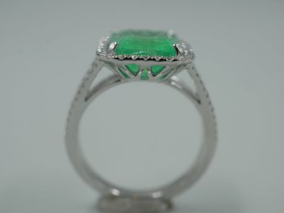 null Modernist ring in 18k white gold topped with a large emerald cut emerald of...