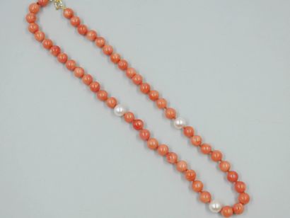 null Necklace made of angel skin coral beads and punctuated with three white cultured...