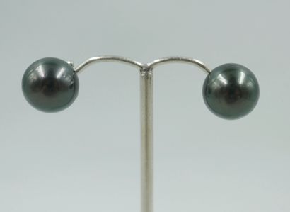 null Pair of 14k white gold earrings adorned with Tahitian pearls of about 12.5mm...