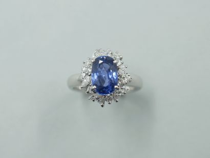 null 18k white gold Pompadour ring set with a 2.80ct oval sapphire in a brilliant-cut...