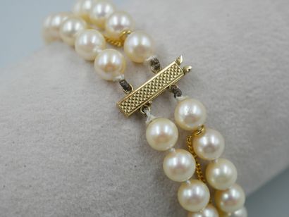 null Bracelet with two rows of cultured pearls. Clasp 18k yellow gold with safety...