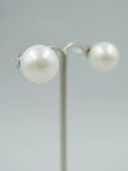null Pair of 14k white gold earrings adorned with cultured pearls from 12 to 12.5mm...