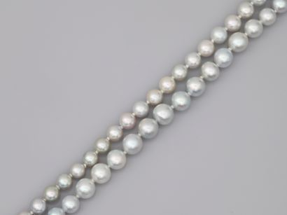 null Necklace of gray cultured pearls in fall. 

Diameter of the pearls: 6 to 9mm....