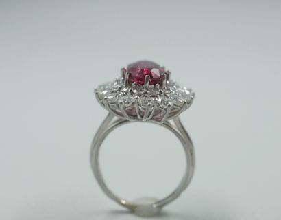 null Pompadour ring in platinum surmounted by a natural ruby of 4,91cts in a double...