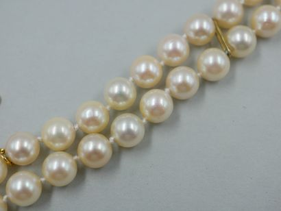 null Bracelet with two rows of cultured pearls. Clasp 18k yellow gold with safety...