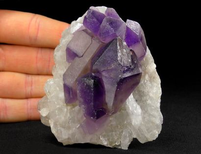 null Curieuse cristallisation de quartz améthyste. 

Groupe de cristaux violets ayant...