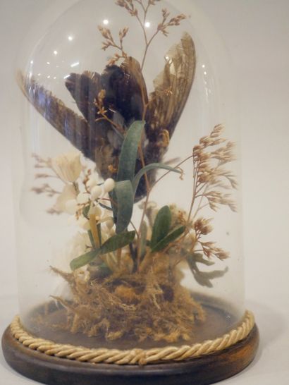null Oiseau mouche sous globe avec composition florale 

Epoque Napoléon III.

H...