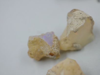 null 
Un lot de 23 pièces d'opales brutes, welo Etiopie, naturelles, non traitées. 

50gr...