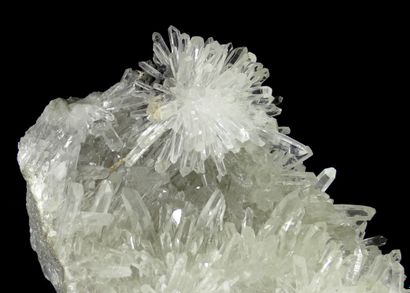 null Quartz. 

Grand spécimen constellé de hérissons de fines aiguilles tranparentes...