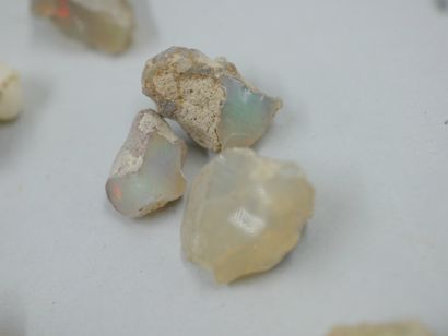 null 
Un lot de 28 pièces d'opales brutes, welo Etiopie, naturelles, non traitées.  

50gr...